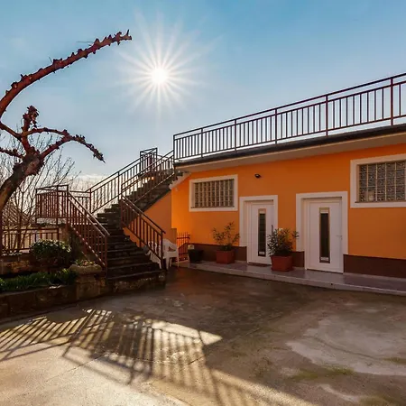 Daire Apartma Zan